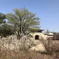 景福宮/キョンボックン/경복궁の写真_286597