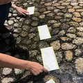 下鴨神社 西本殿の写真_286662