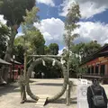 八坂神社の写真_286681