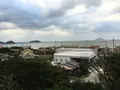 鎮懐石八幡宮の写真_287744