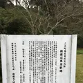 鎮懐石八幡宮の写真_287747