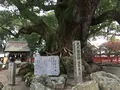 宇美八幡宮の写真_287753