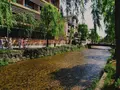 白川カフェ（SHIRAKAWA CAFE）の写真_288042