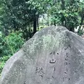 文学のこみちの写真_288254