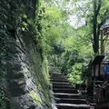 猫の細道の写真_288257
