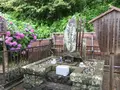 誕生寺の写真_288265