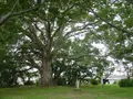 記紀の道の写真_288895