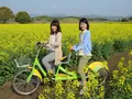 西都原ガイダンスセンター このはな館 の写真_288919