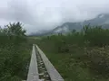 弥陀ヶ原の写真_289588