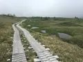 弥陀ヶ原の写真_289589
