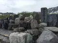 室堂平の写真_289596