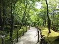 銀閣寺(東山慈照寺)の写真_289650