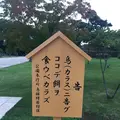 富山市役所展望塔の写真_289672