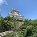金華山の写真_289761