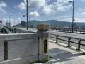 長良橋の写真_289814