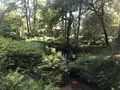 ギドリー・パークの写真_289963