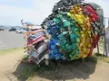 宇野のチヌの写真_290065