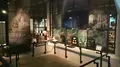 宮崎県立西都原考古博物館の写真_290300