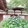 藤森神社の写真_290341
