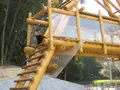 とべ動物園の写真_290650