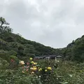 鎌倉文学館の写真_291266