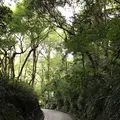 鎌倉文学館の写真_291267