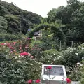 鎌倉文学館の写真_291269
