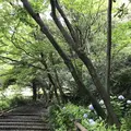 鎌倉文学館の写真_291270