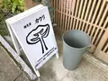 カウリの写真_291311