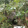 葛城一言主神社の写真_291477