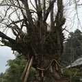 葛城一言主神社の写真_291478