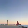 仁川国際空港/Incheon International Airport/인천국제공항の写真_292546