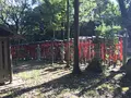 姫丸稲荷大明神の写真_292573
