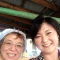 明野のひまわり畑の写真_293218