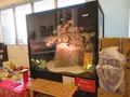 姫路まえどれ市場 （【旧店名】姫路とれとれ市場） の写真_293422