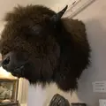 ベンの家の写真_293858