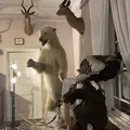 ベンの家の写真_293859