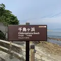 千鳥ケ浜海岸の写真_293938