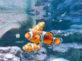 サンシャイン水族館の写真_294067