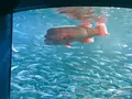 サンシャイン水族館の写真_294074