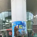 福井県立恐竜博物館の写真_294177
