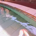 芦湯の写真_294202