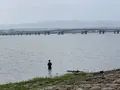 琵琶湖の写真_294377