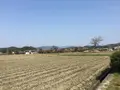 古宮遺跡(伝推古天皇小墾田宮跡)の写真_294411