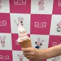 こんにゃくパークの写真_294437