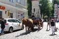 ヴィル門の写真_294472