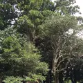 興聖寺の写真_295213