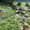 興聖寺の写真_295214
