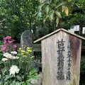 義仲寺の写真_295232