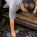 いがわこみちの写真_295399